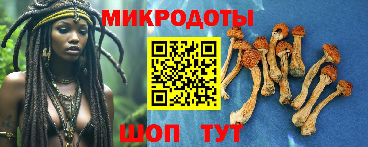 Псилоцибиновые грибы мухоморы  Вход с VPN  Добрянка  Псилоцибиновые грибы GOLDEN TEACHER 