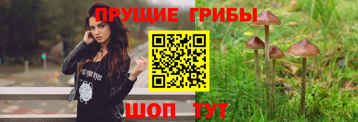 Галлюциногенные грибы MAGIC MUSHROOMS Добрянка