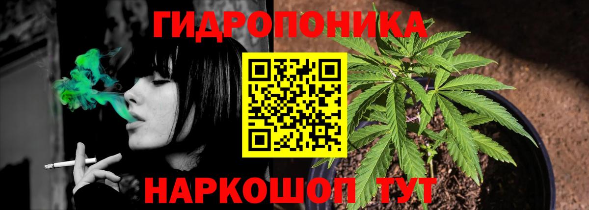 Бошки марихуана гибрид Добрянка